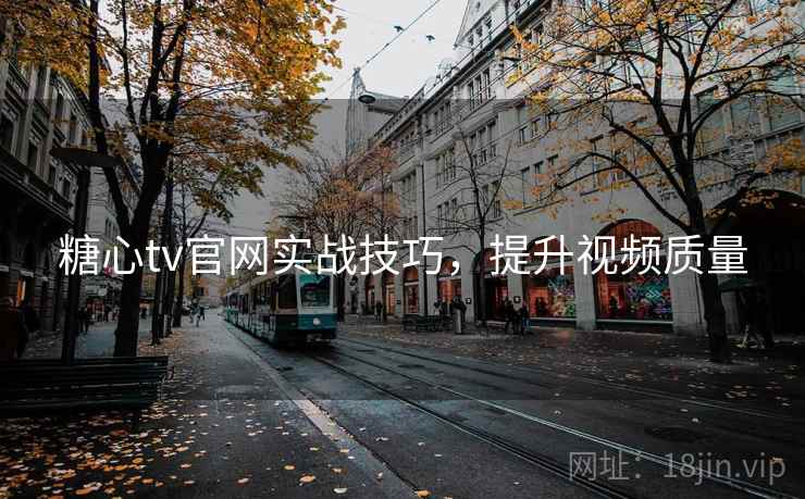 糖心tv官网实战技巧，提升视频质量